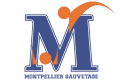 Entreprise : ASSOCIATION MONTPELLIER SAUVETAGE ASSOCIATION MONTPELLIER SAUVETAGE