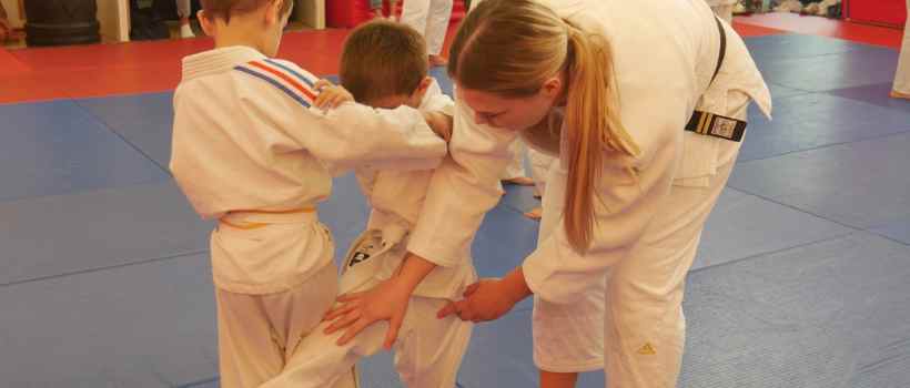 Image d'illustration de l'entreprise France Judo