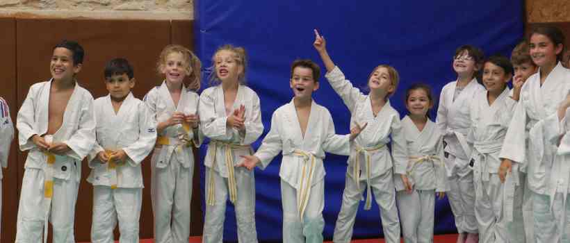 Image d'illustration de l'entreprise France Judo