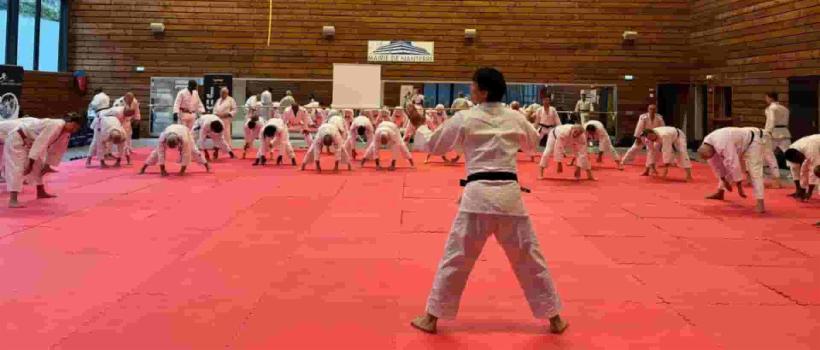 Image d'illustration de l'entreprise France Judo