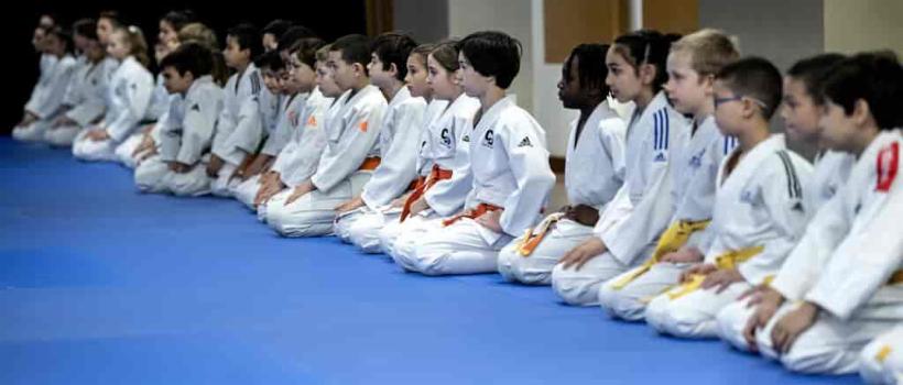 Image d'illustration de l'entreprise France Judo